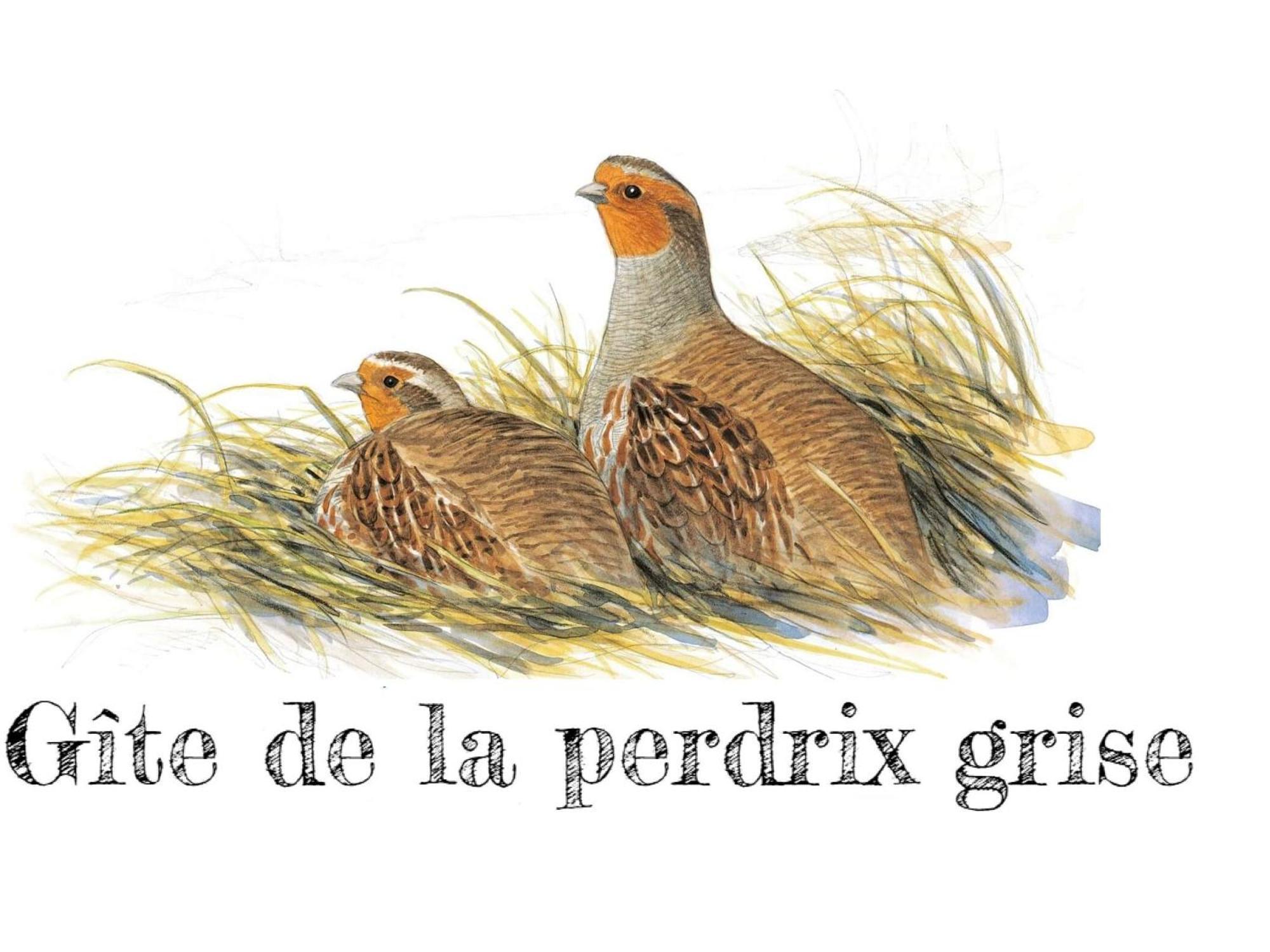 Charmante Maison De Campagne Avec Jardin Prive, Pres De Paris Et Orleans, Ideale Pour Familles - Fr-1-590-136 Audeville المظهر الخارجي الصورة